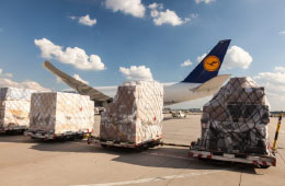 Congestion hits air cargo flows – 'not seen things this bad in 25 years'